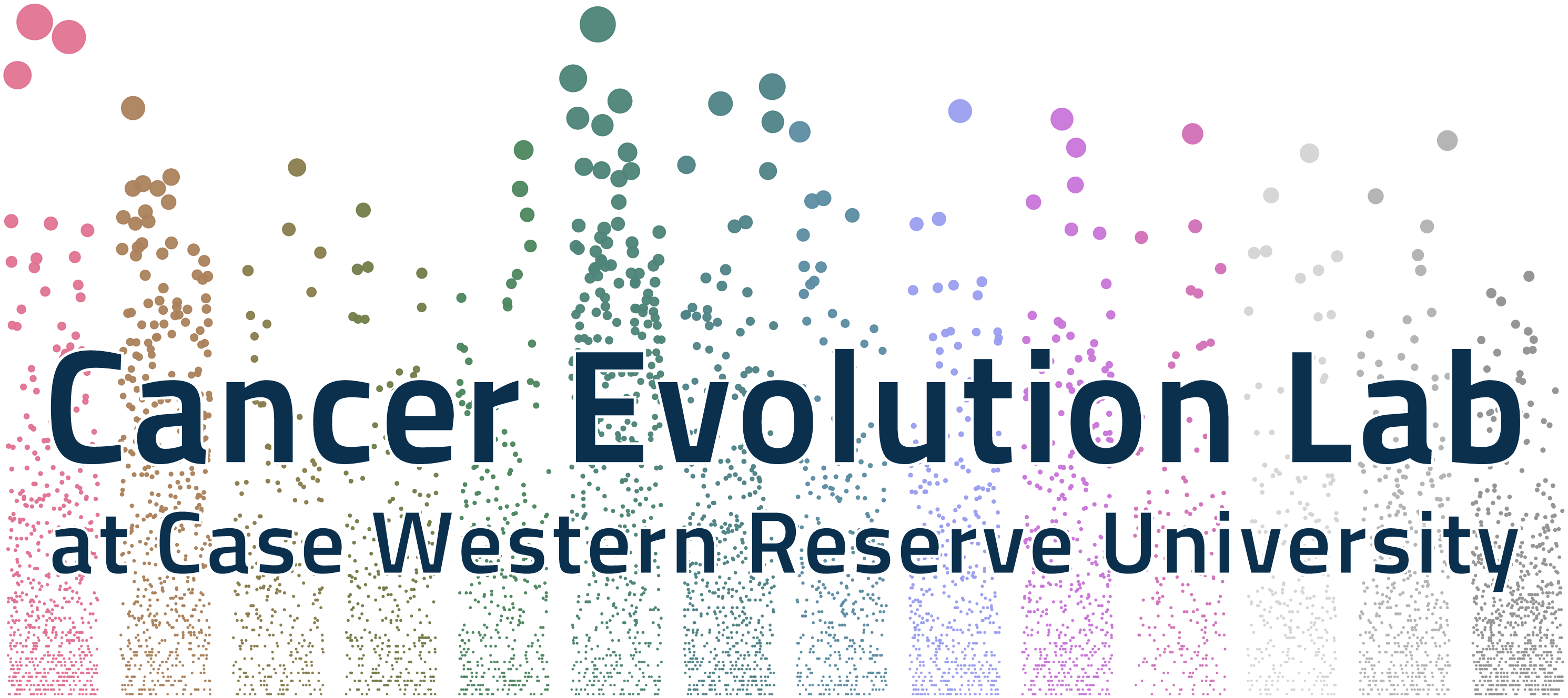 The Cancer Evolution Lab @ CWRU